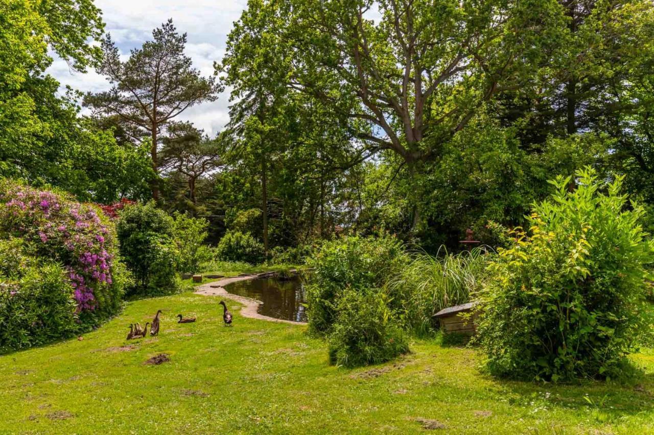 Host & Stay - The Eiders Aylmerton Εξωτερικό φωτογραφία